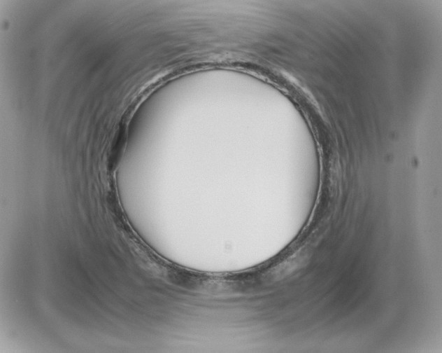 X0000085831265200704132028