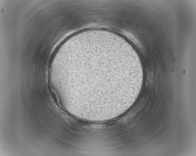 X0000085831268200704132028