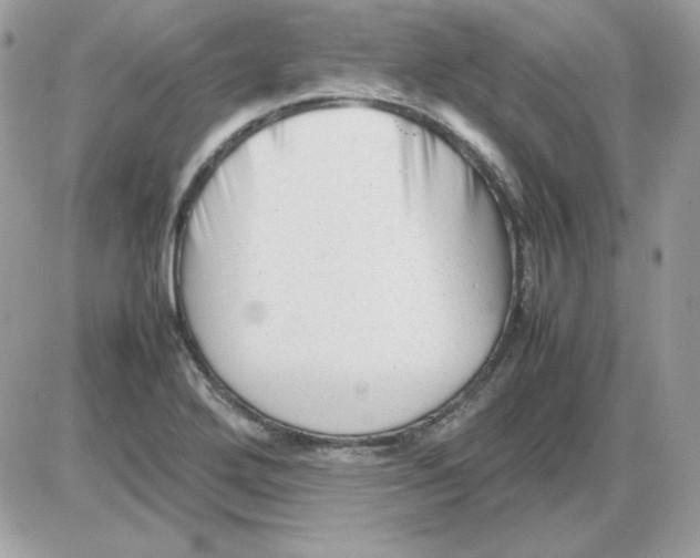 X0000085831272200704132028