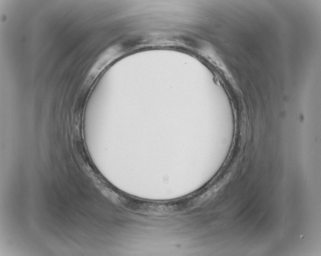 X0000085831273200704132028