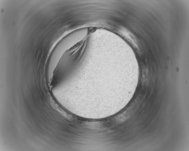 X0000085831276200704132028