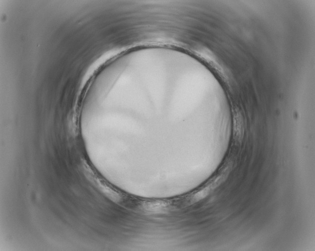 X0000085831278200704132028