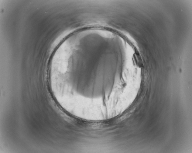 X0000085831279200704132028