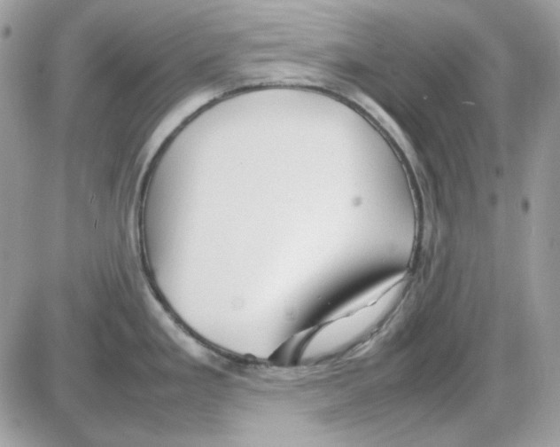 X0000085831293200704132028