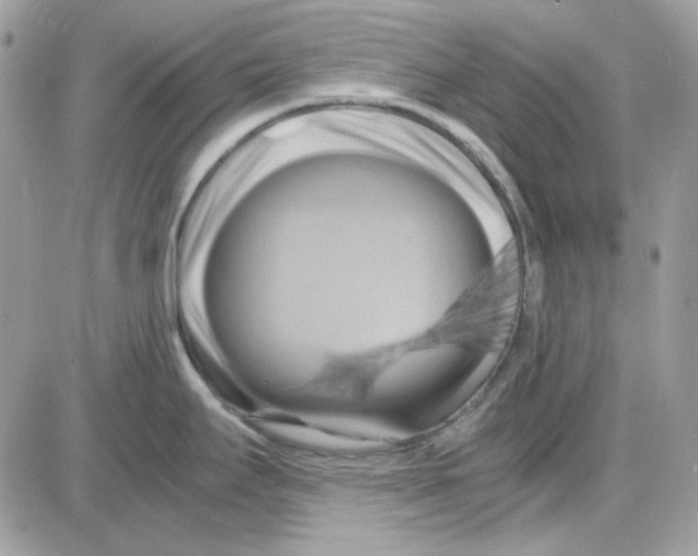 X0000085831295200704132028