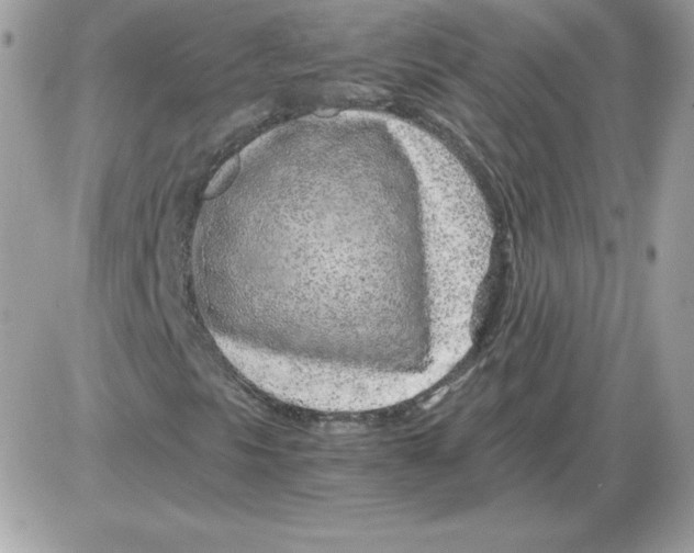 X0000085831297200704132027