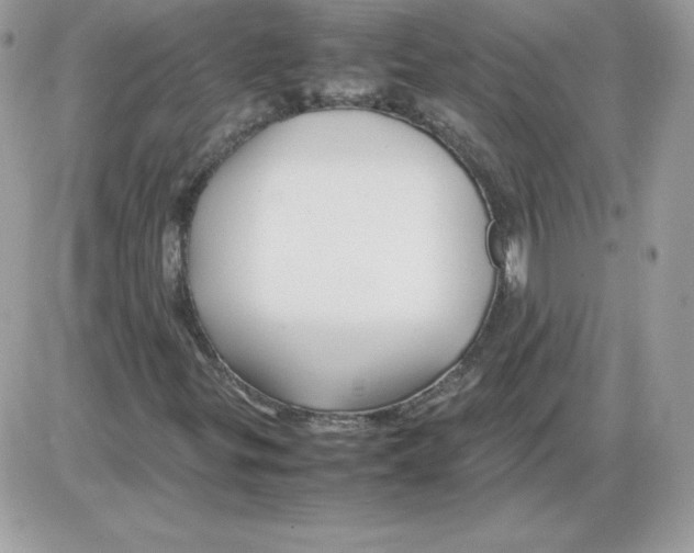X0000085831299200704132027