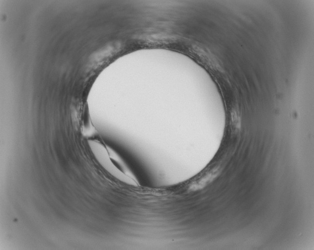 X0000085831300200704132027