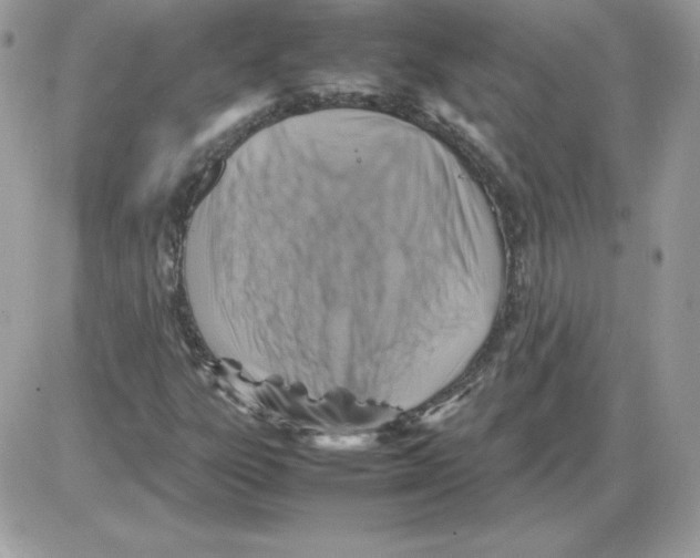 X0000085831303200704132027