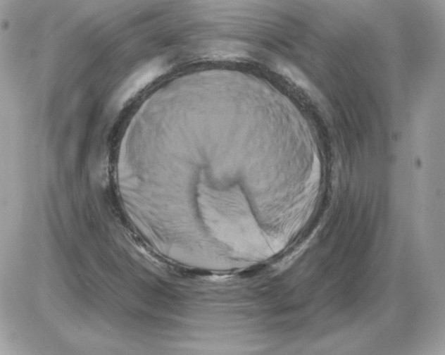 X0000085831306200704132027