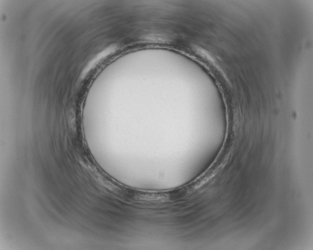 X0000085831307200704132027