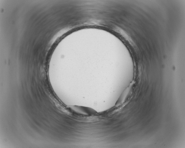 X0000085831308200704132027