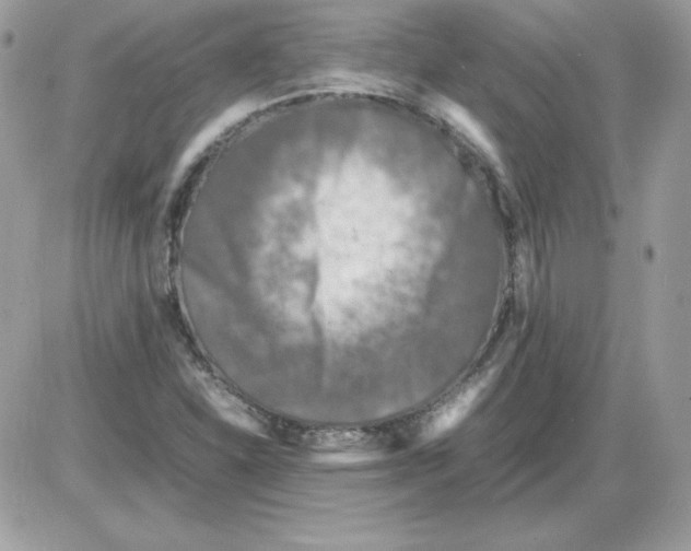 X0000085831310200704132027
