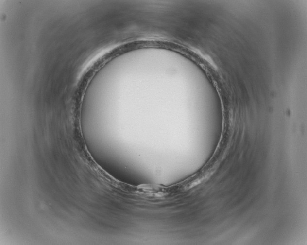 X0000085831311200704132027