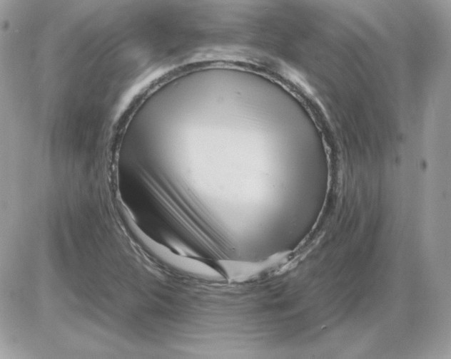 X0000085831312200704132027
