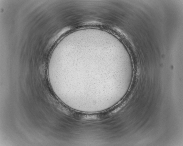 X0000085831313200704132027