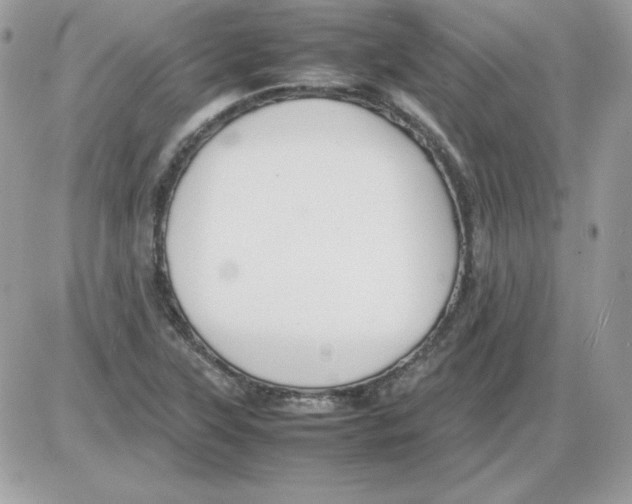 X0000085831315200704132027