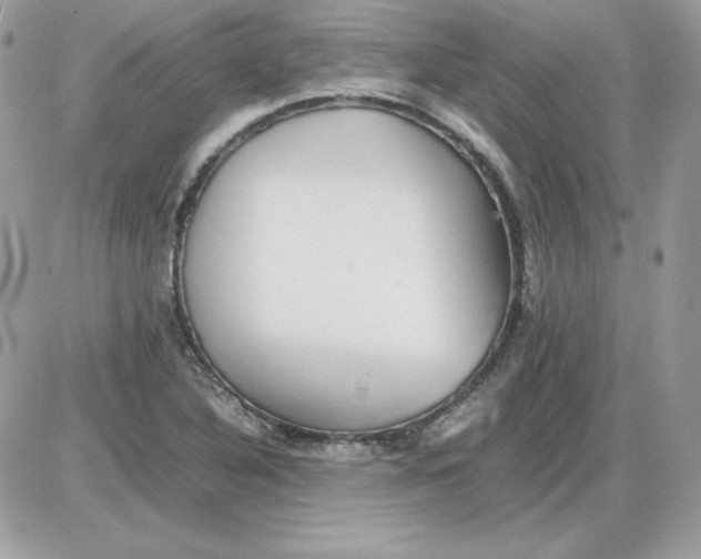 X0000085831316200704132027