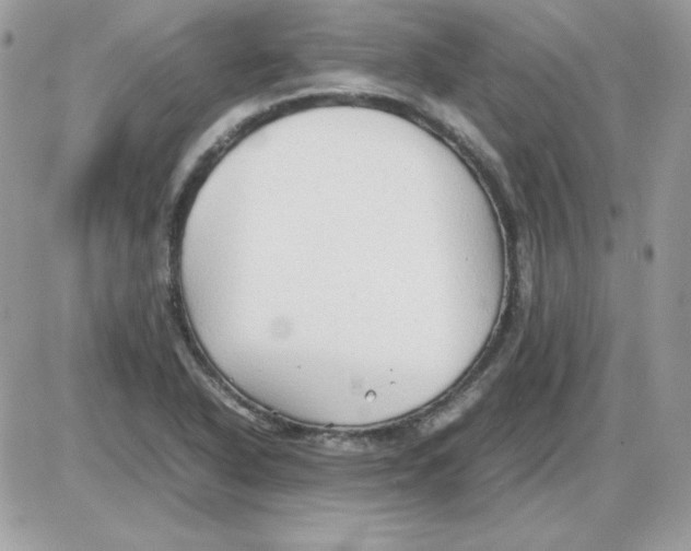 X0000085831318200704132027