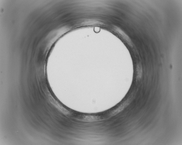 X0000085831322200704132027