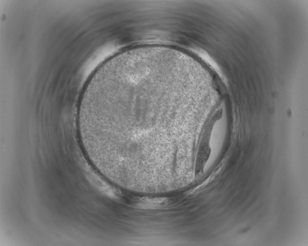 X0000085831325200704132027