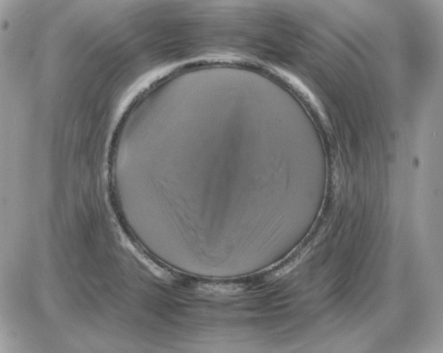 X0000085831327200704132028