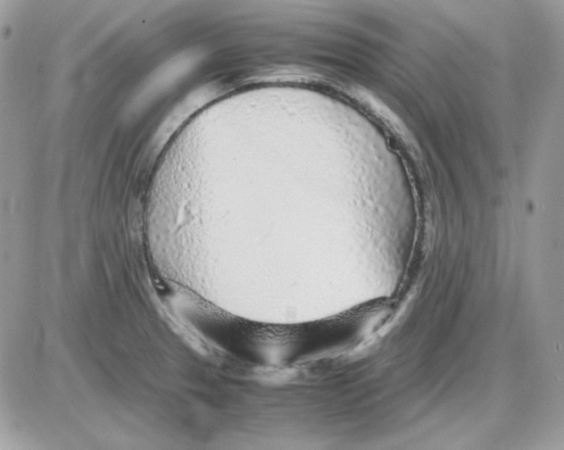 X0000085831329200704132028