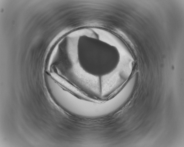 X0000085831331200704132028