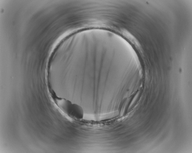 X0000085831334200704132028