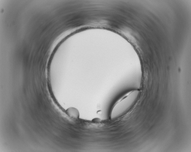 X0000085831335200704132028