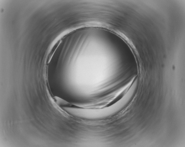 X0000085831342200704132028