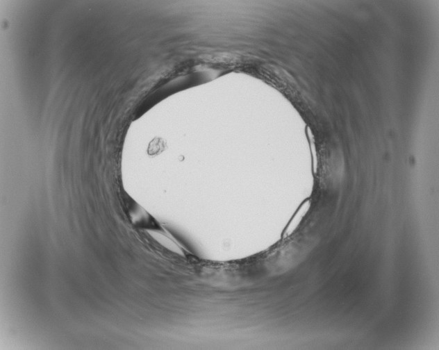 X0000085831345200704132027