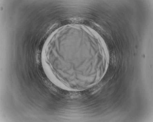 X0000085831346200704132027