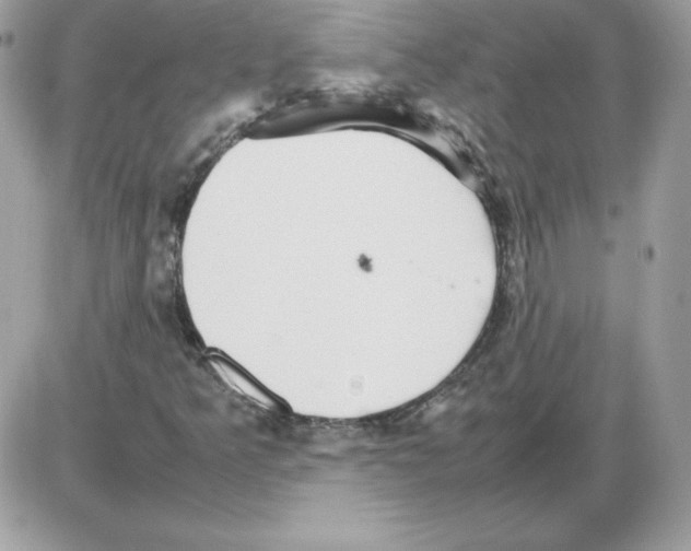 X0000085831349200704132027