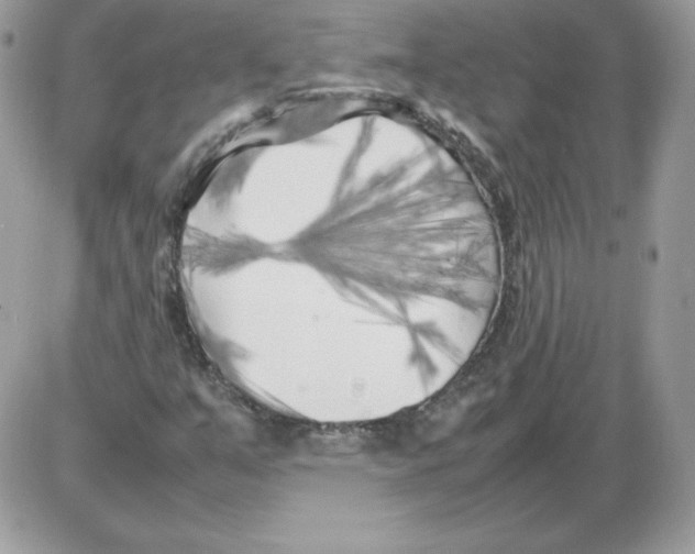 X0000085831351200704132027