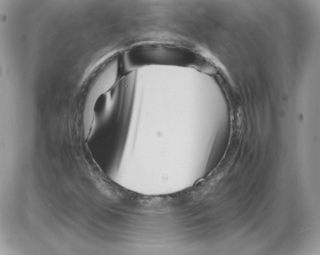 X0000085831352200704132027