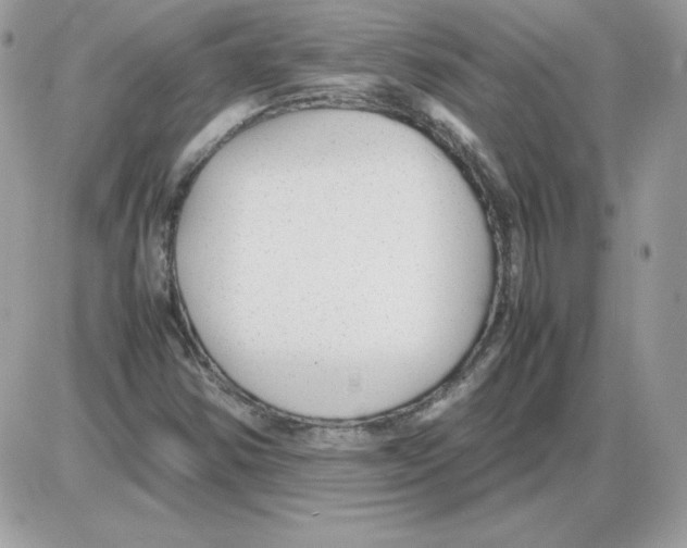 X0000085831354200704132027