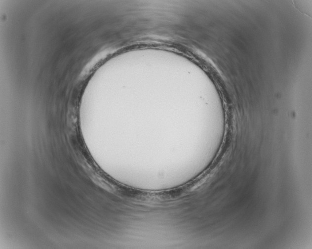 X0000085831355200704132027