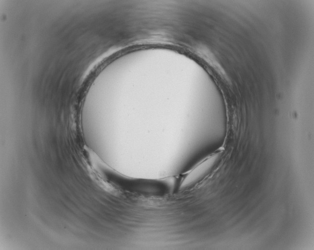 X0000085831356200704132027