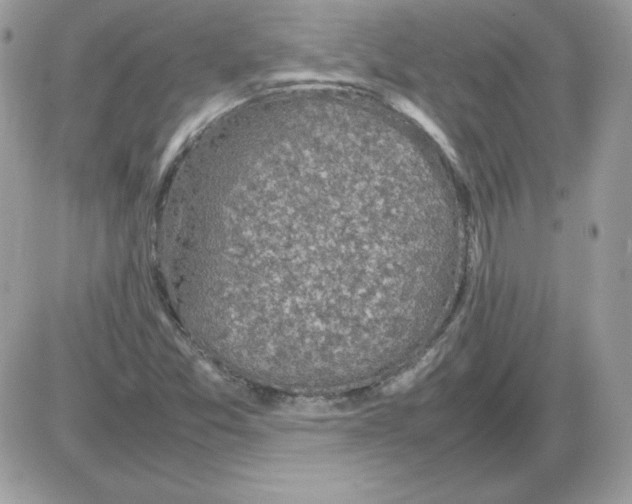 X0000085831357200704132027