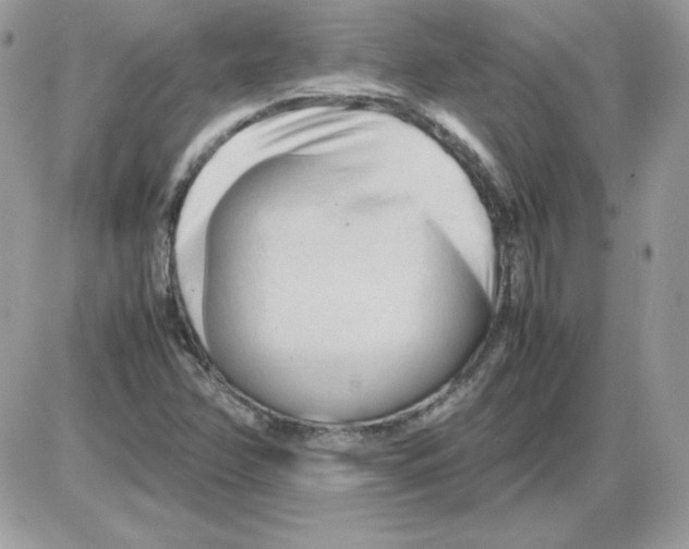 X0000085831358200704132027