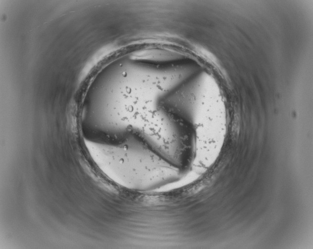 X0000085831360200704132027