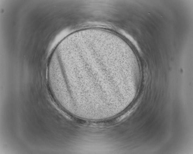 X0000085831365200704132027