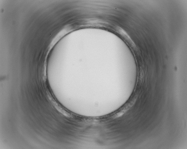 X0000085831370200704132027
