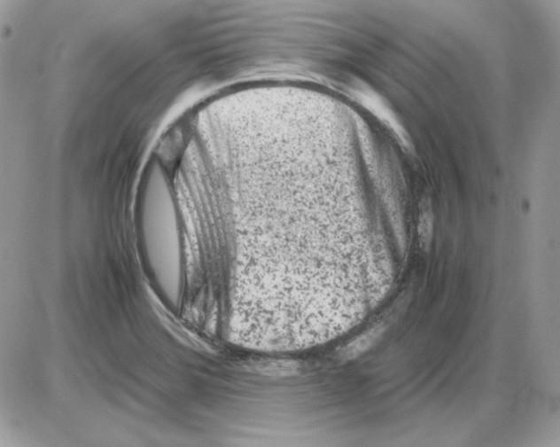 X0000085831372200704132027