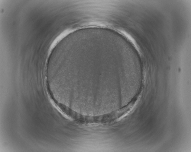 X0000085831373200704132027