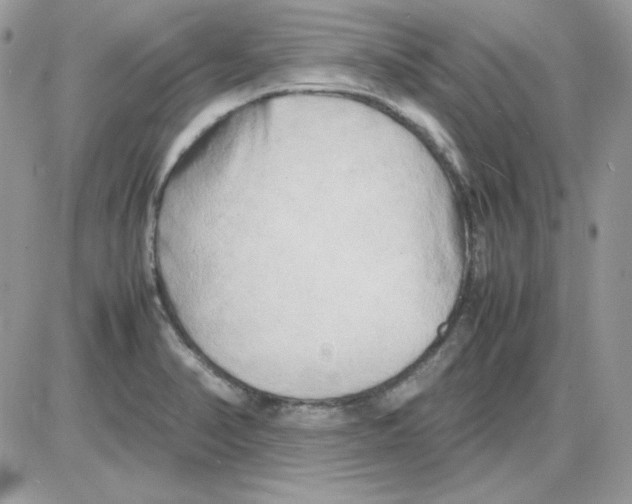 X0000085831374200704132027