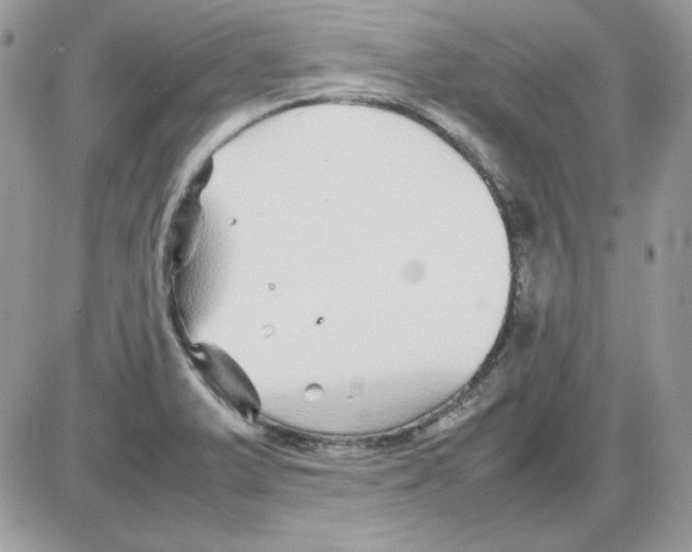 X0000085831375200704132027