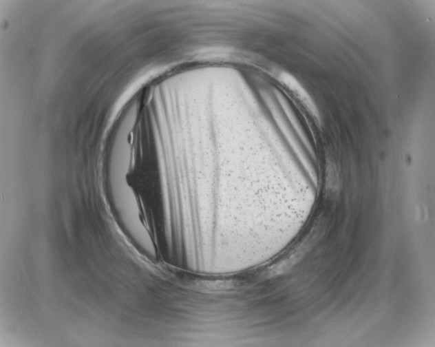X0000085831376200704132027