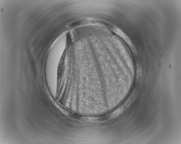 X0000085831377200704132026